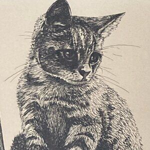 Cat Art Print From Pencil Drawing Framed Numbered Limited Edition 41/200 Jeanne
